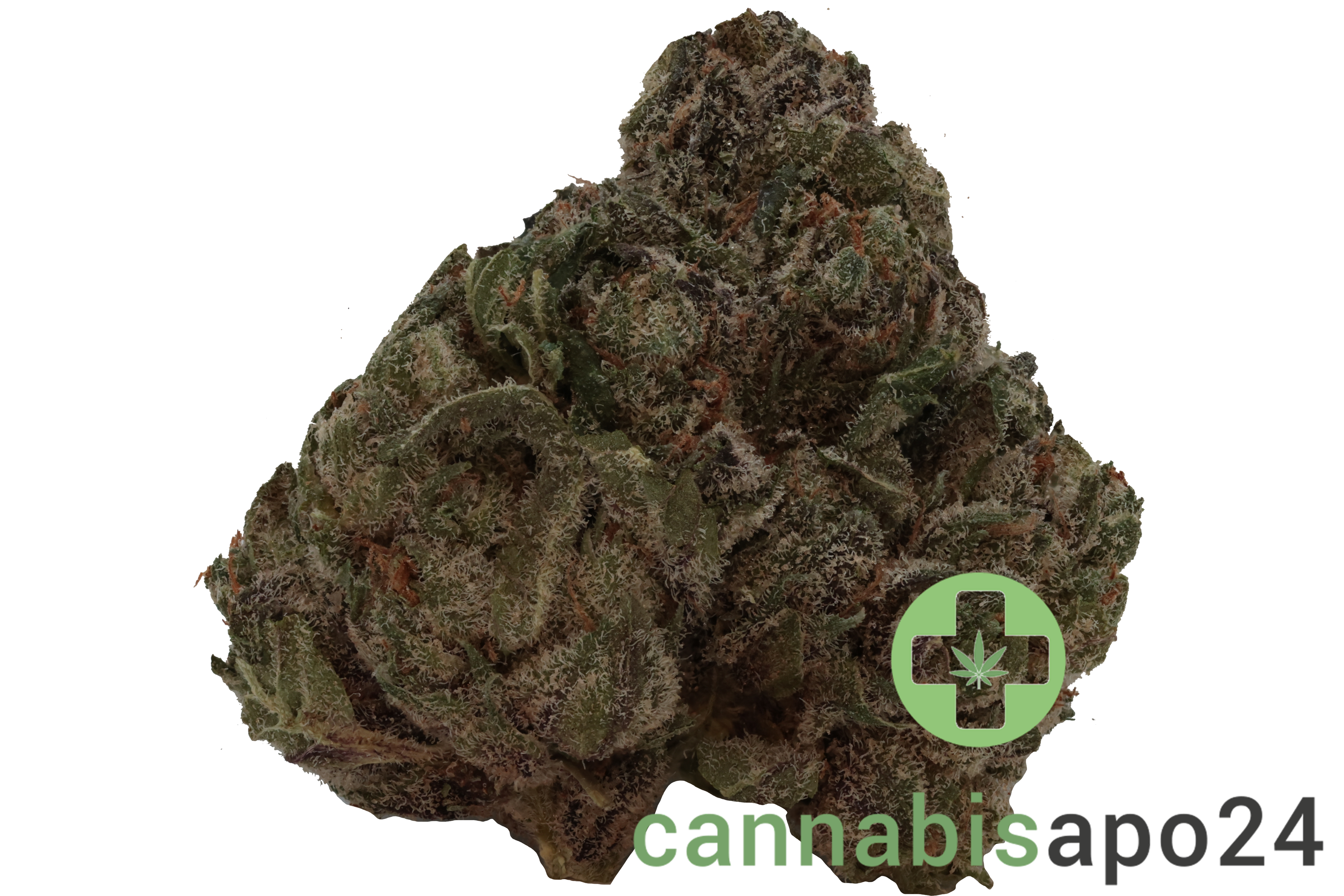 420 Compound 18/1 CA GAG Glaced Apricot Gelato
