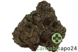 420 Compound 18/1 CA GAG Glaced Apricot Gelato