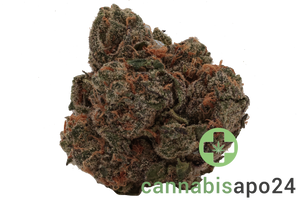 420 Compound 30/1 CA GAP Gastro Pop