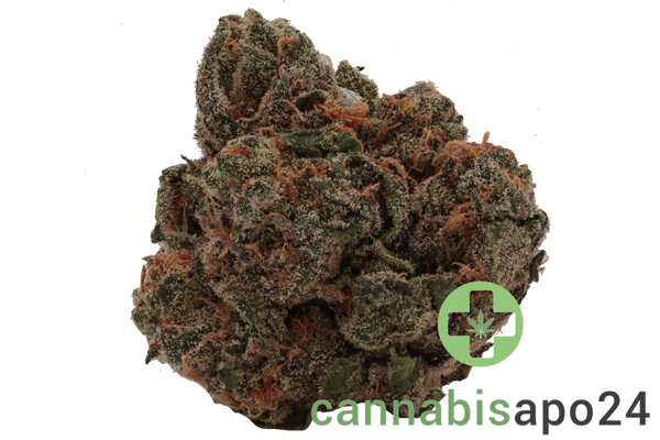 420 Compound 30/1 CA GAP Gastro Pop