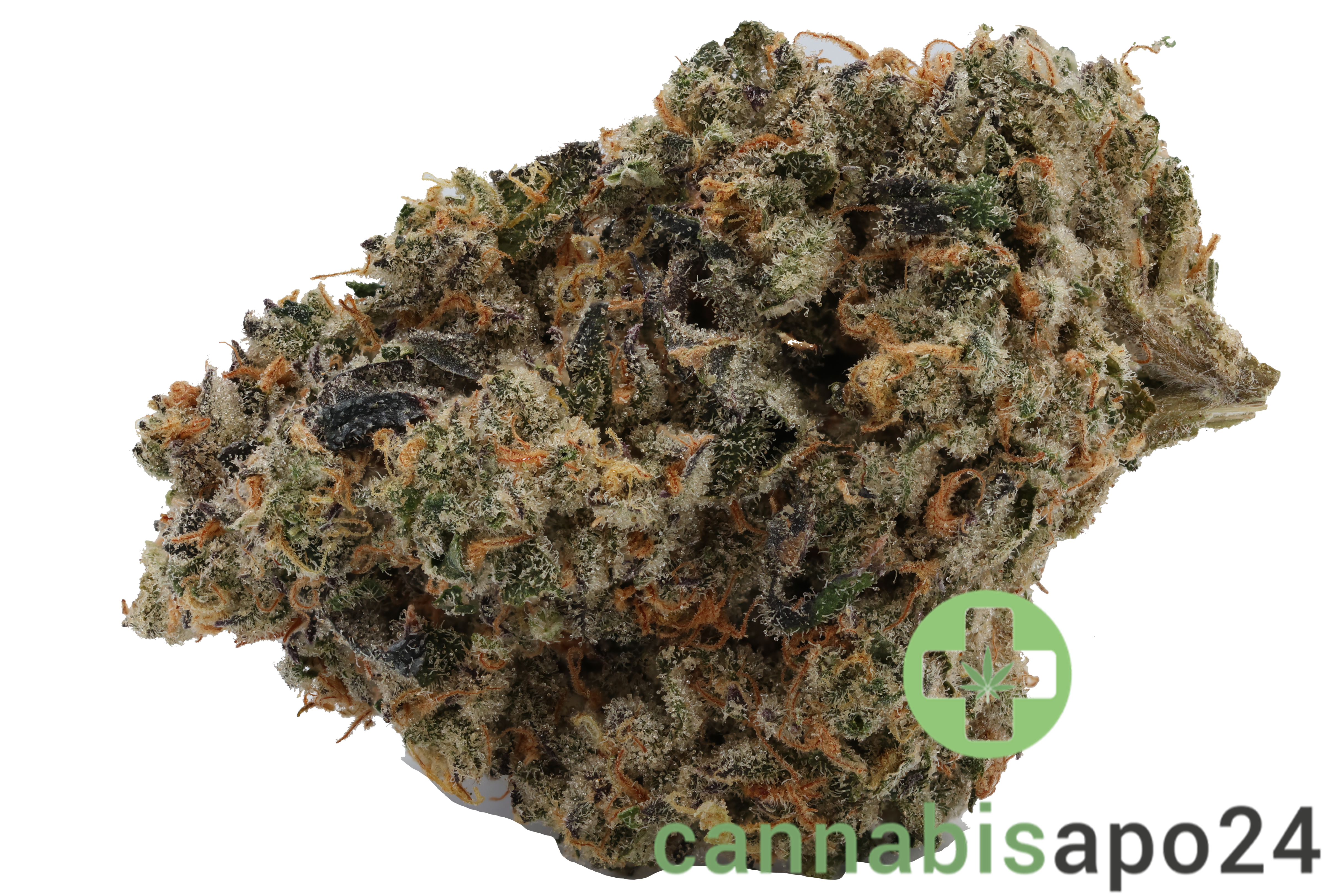 420 Evolution 27/1 CA FLM