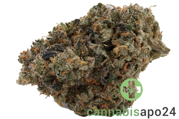420 Evolution 27/1 CA FLM