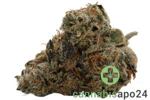 420 Evolution 27/1 CA ICC