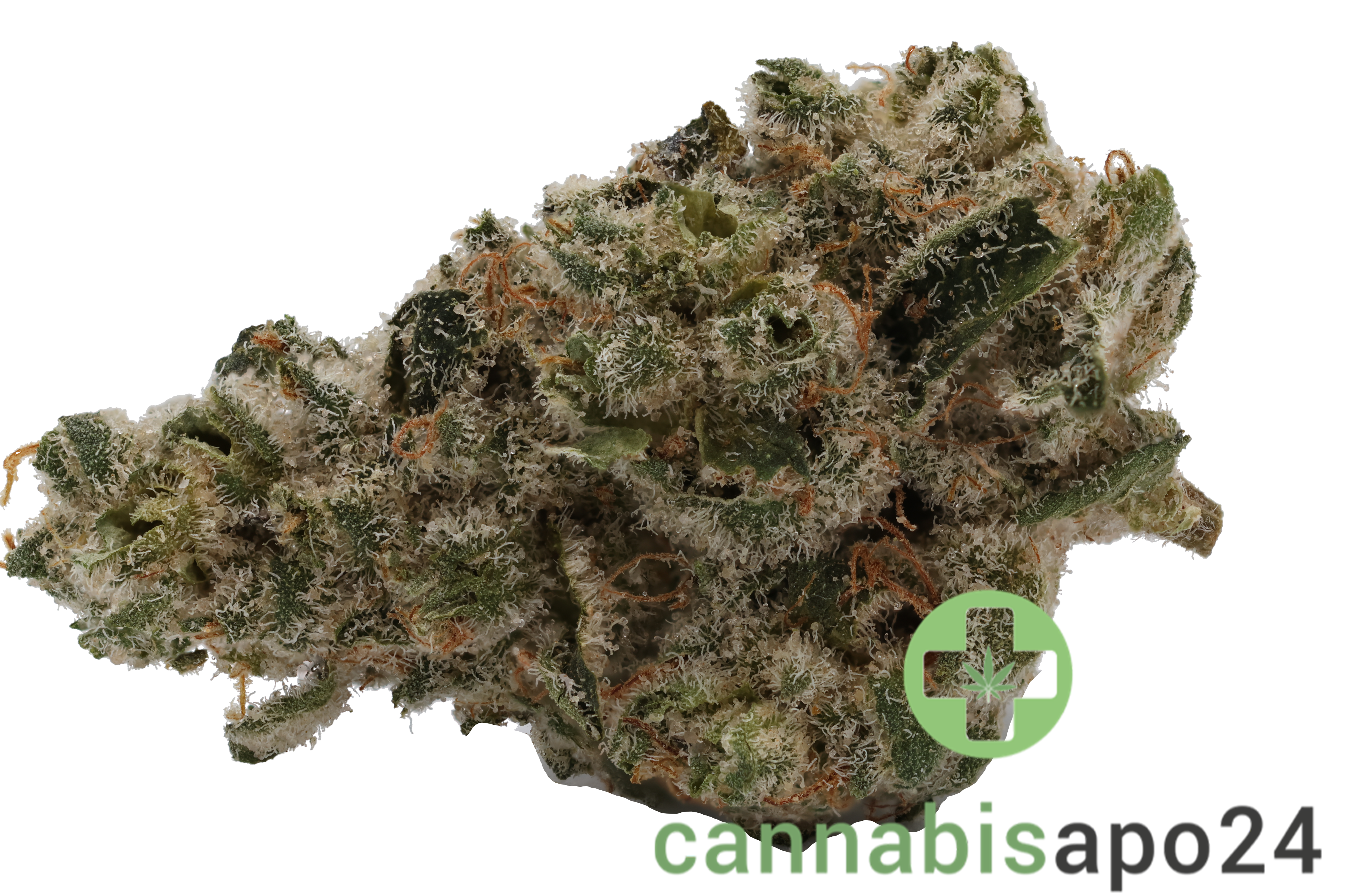 420 Evolution 27/1 CA WES