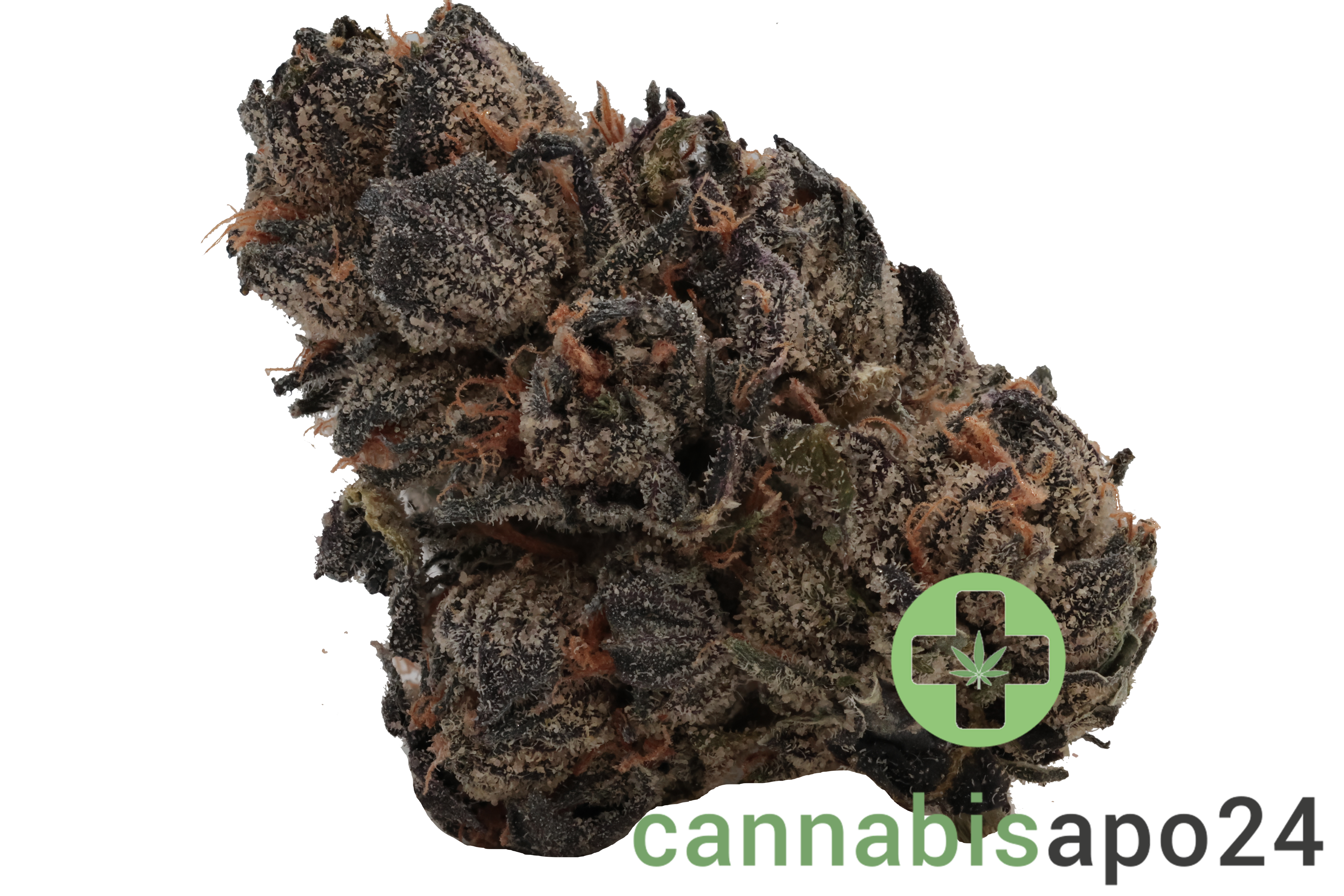 420 Evolution 20/1 CA LCG Lemon Cherry Gelato