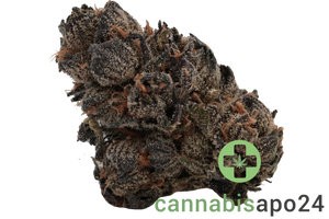 420 Evolution 20/1 CA LCG Lemon Cherry Gelato