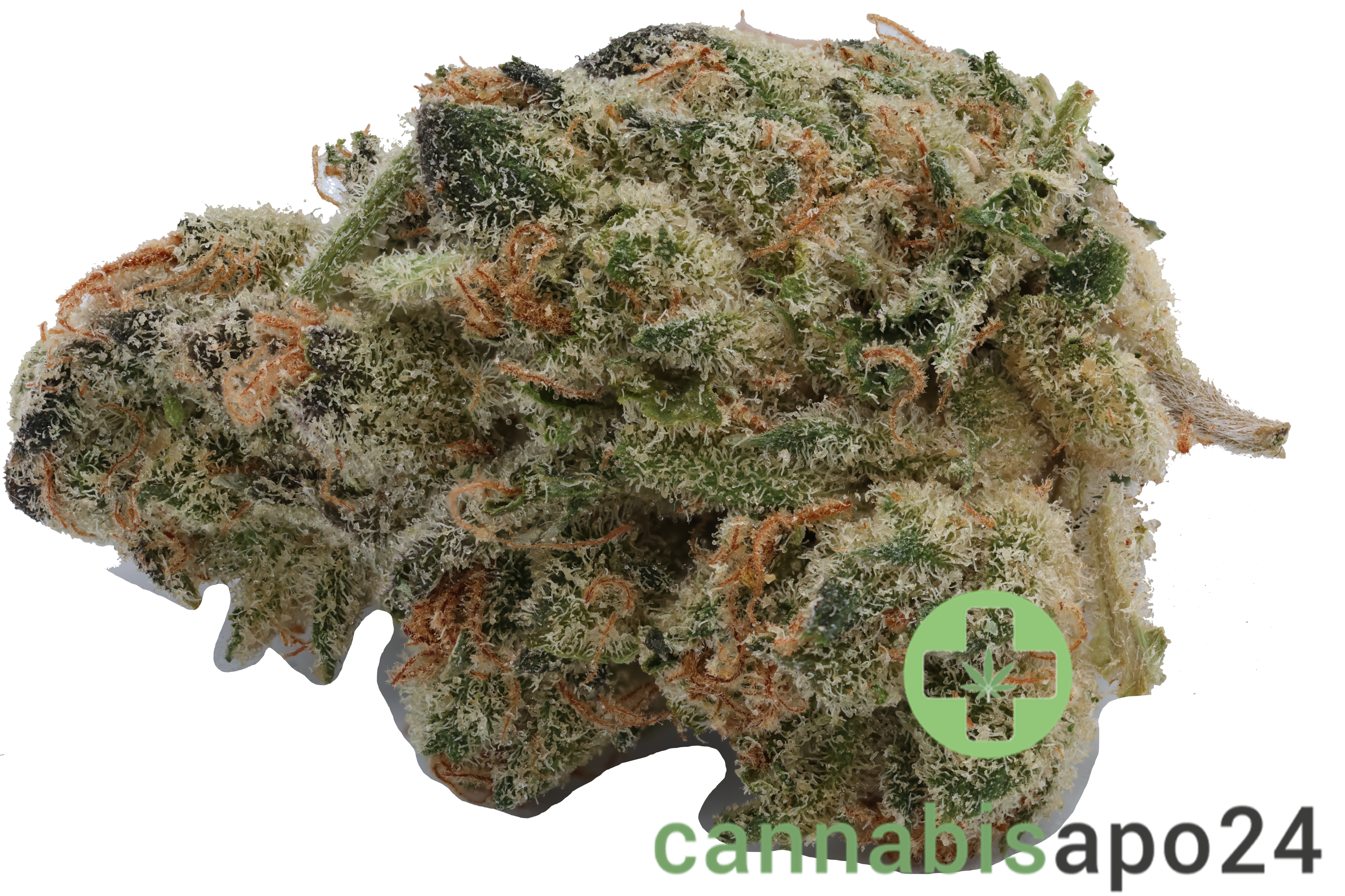 420 Evolution 20/1 CA PLD