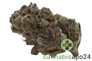 420 Evolution 25/1 CA UNC Unicorn Cake