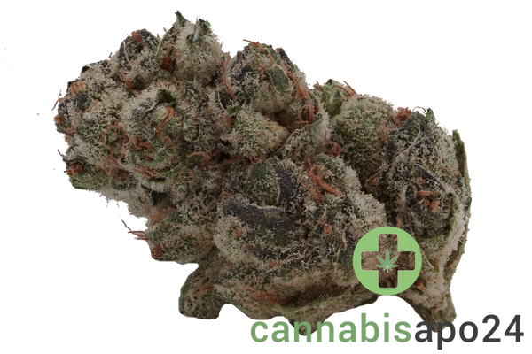 420 Evolution 25/1 CA UNC Unicorn Cake