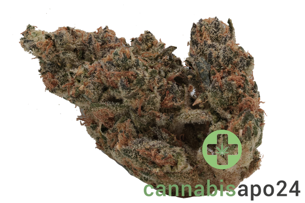 420 Evolution 25/1 CA PLD