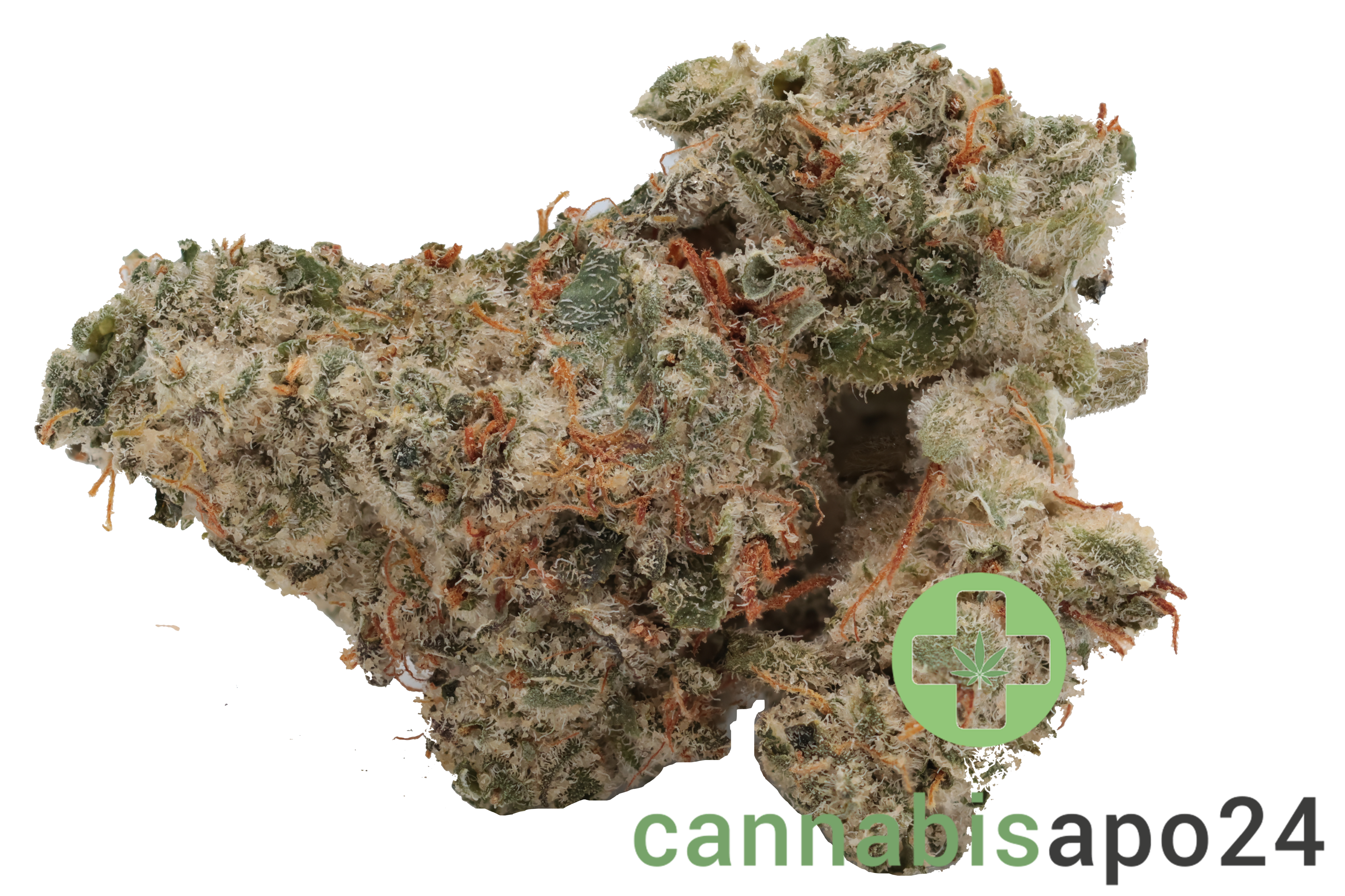 420 Evolution 25/1 CA ICC