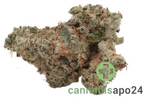 420 Evolution 25/1 CA ICC