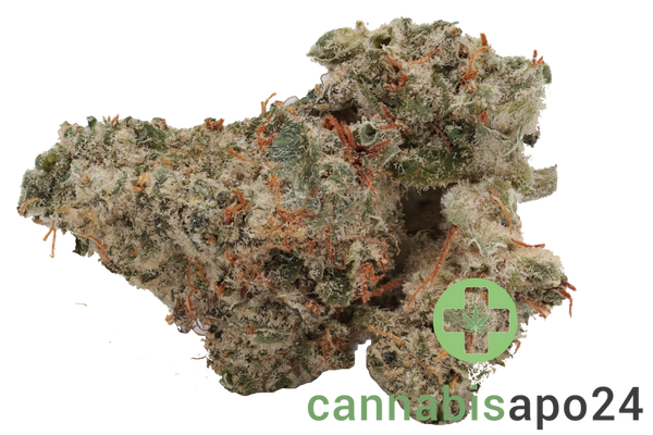 420 Evolution 25/1 CA ICC