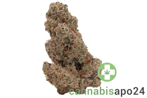 420 Evolution 30/1 CA MMI Miracle Mints