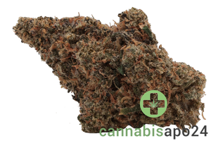 420 Evolution 30/1 CA FLM Frozen Lemon Mints