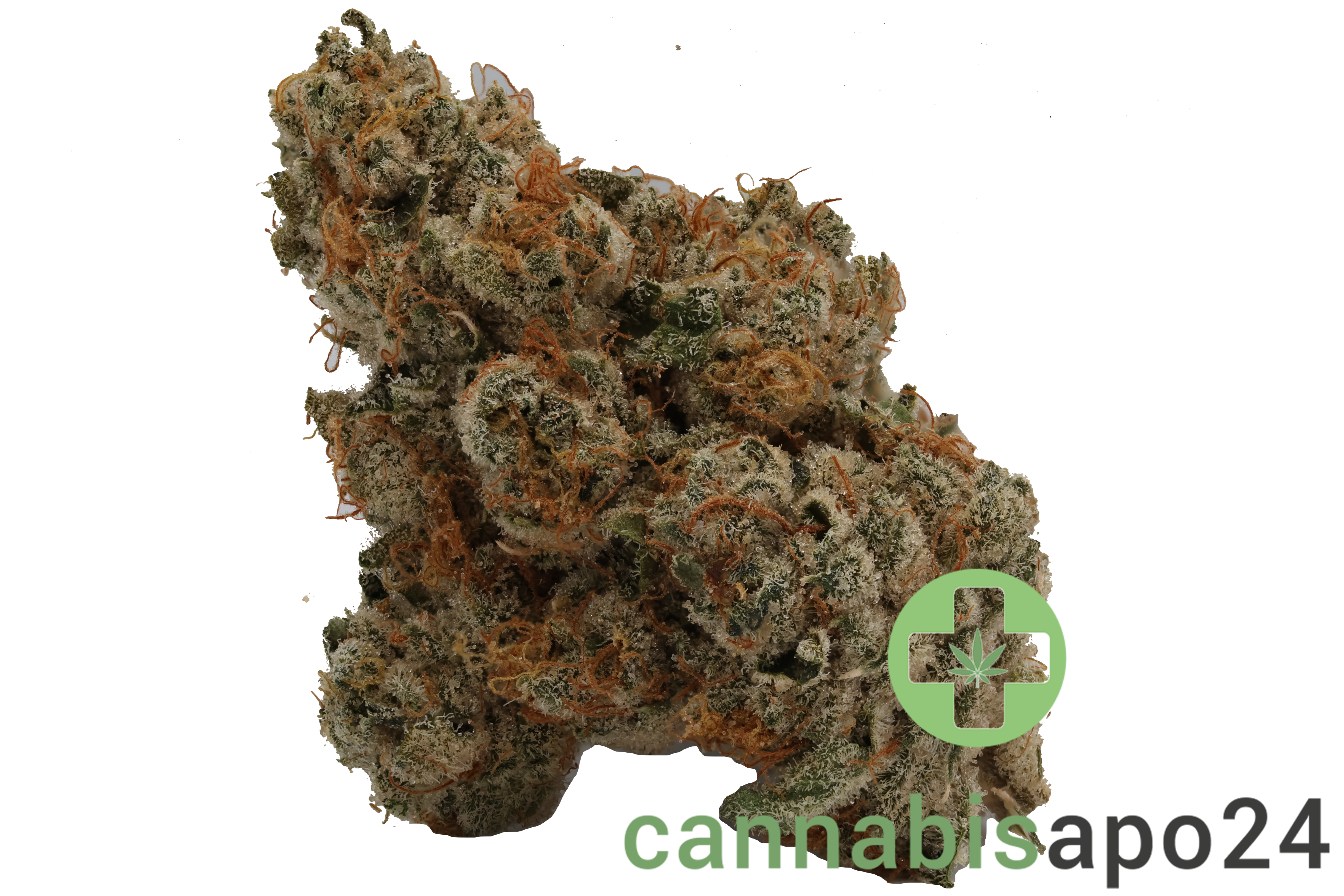 420 Evolution 30/1 CA PCH