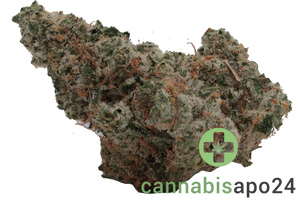 420 Evolution 33/1 CA ICC
