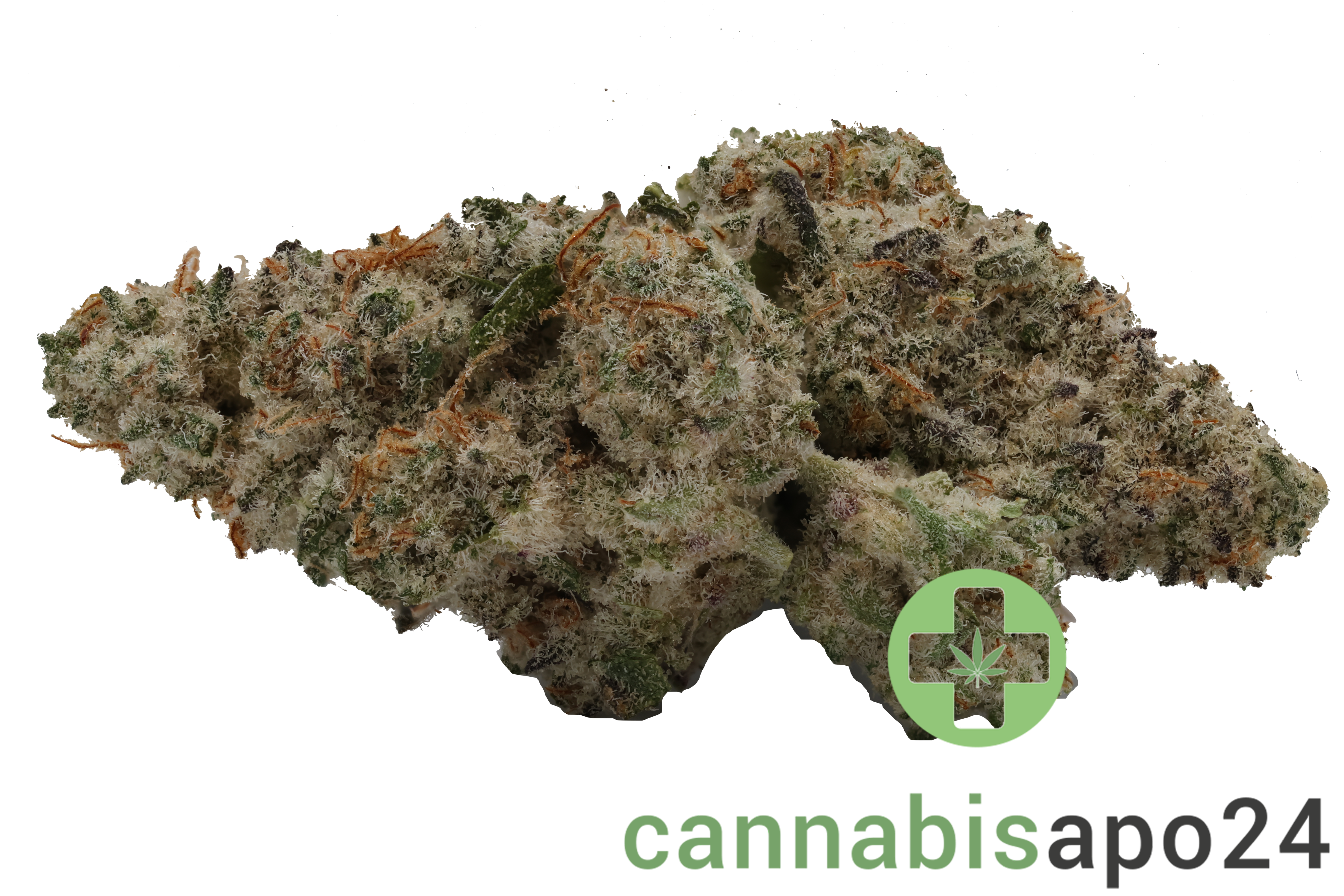 420 Evolution 22/1 CA Mac 1