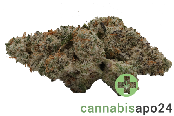 420 Evolution 22/1 CA Mac 1