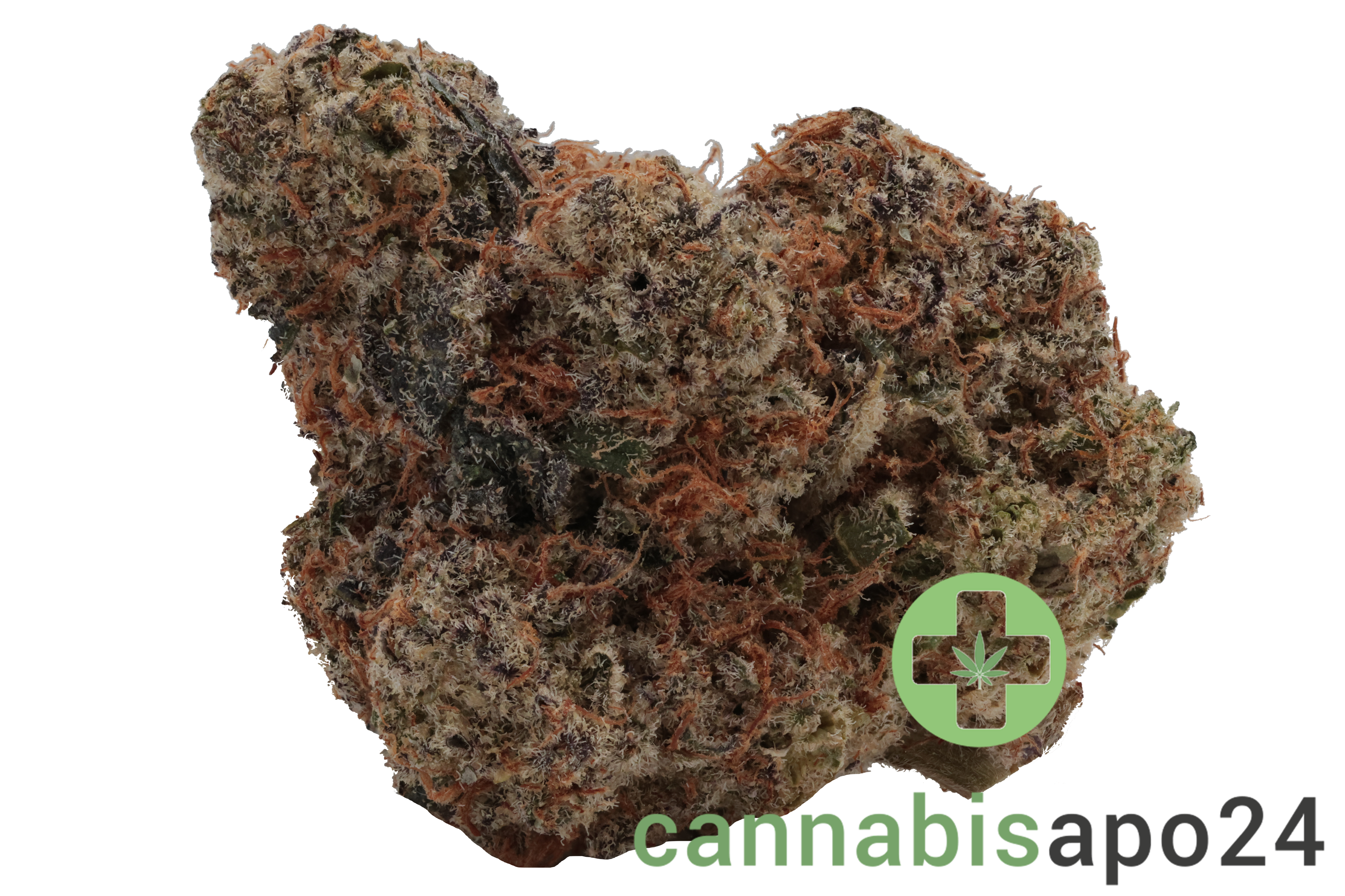 420 Evolution 22/1 CA MMI Miracle Mints