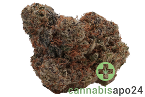 420 Evolution 22/1 CA MMI Miracle Mints