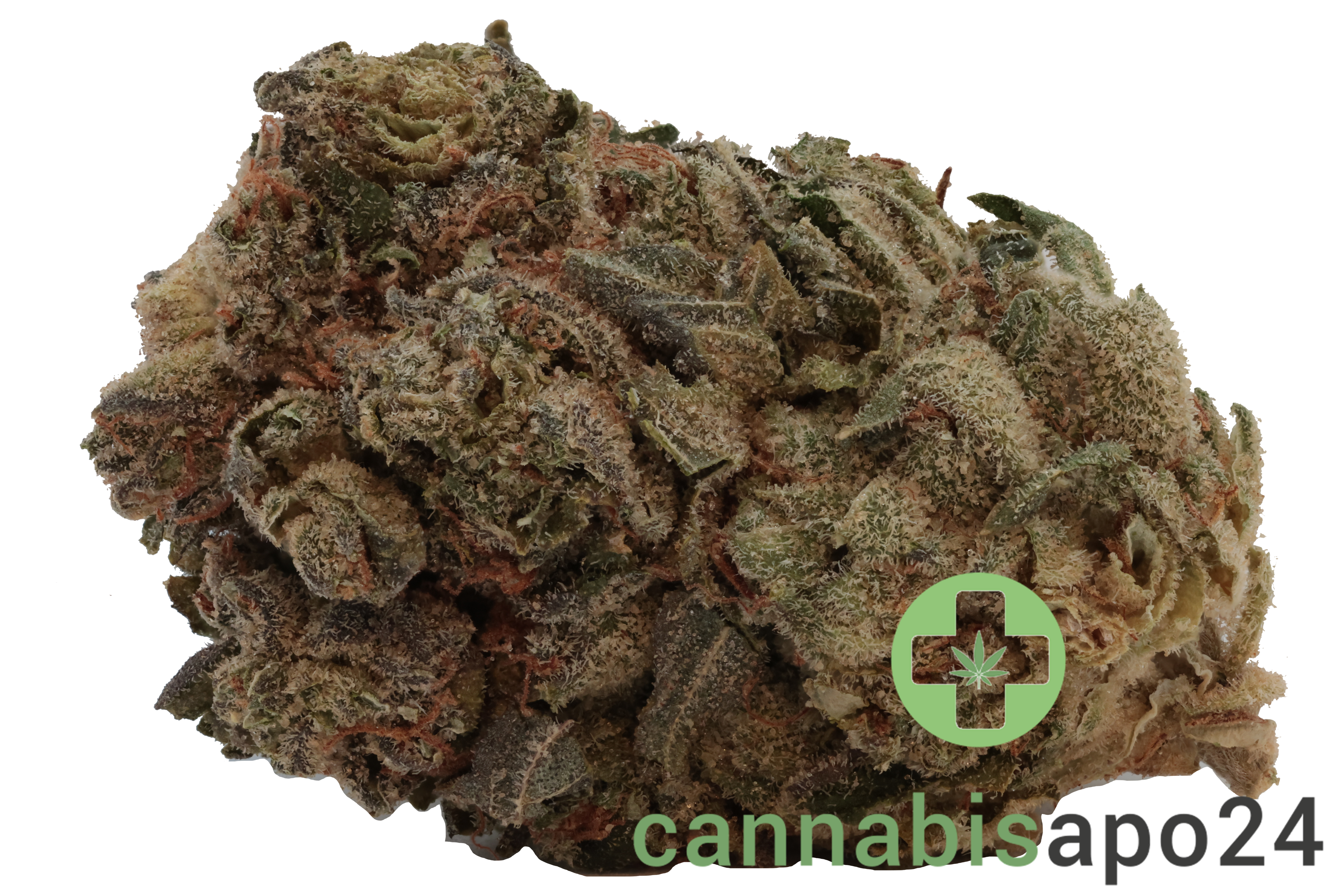 420 Evolution 22/1 CA PVB Private Banana