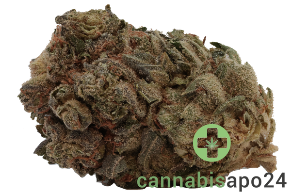 420 Evolution 22/1 CA PVB Private Banana