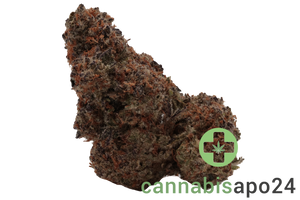 420 Evolution 27/1 CA MMI Miracle Mints