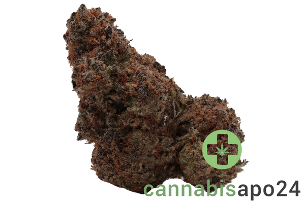 420 Evolution 27/1 CA MMI Miracle Mints
