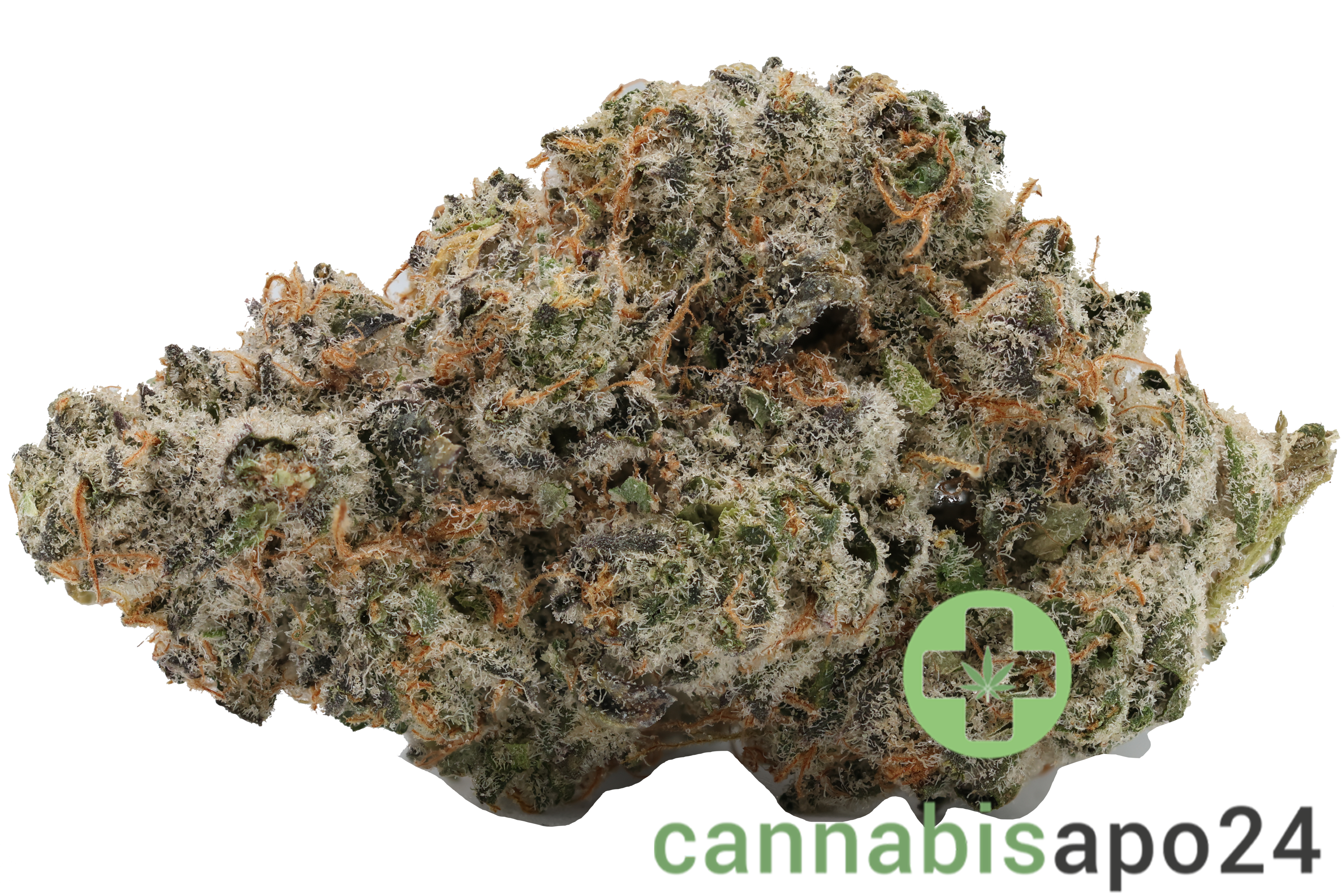 420 Evolution 30/1 CA WES