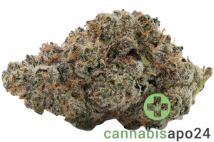 420 Evolution 30/1 CA WES