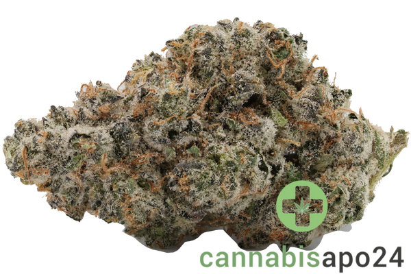 420 Evolution 30/1 CA WES