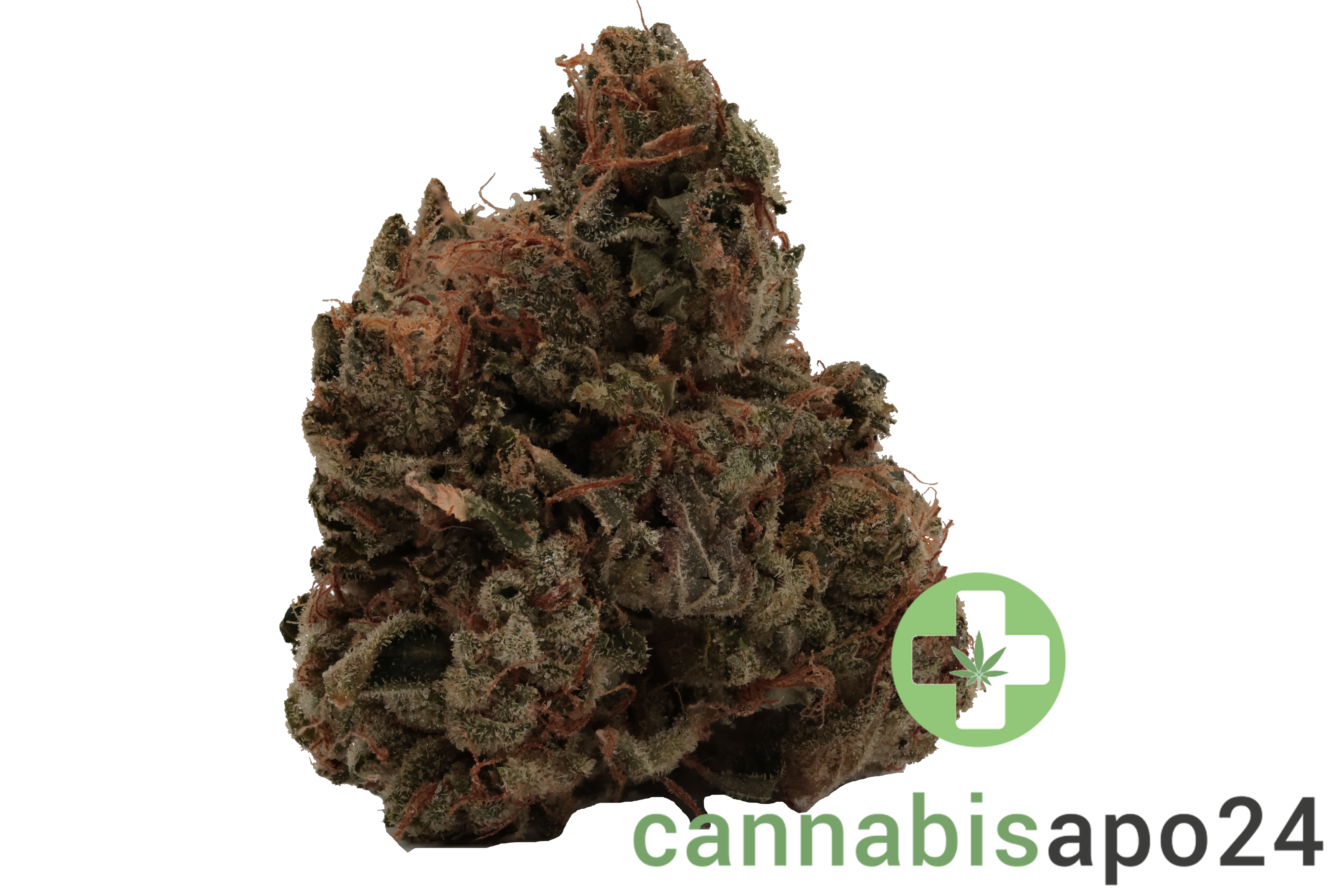 420 Evolution 25/1 CA BUL