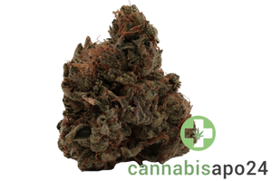 420 Evolution 25/1 CA BUL