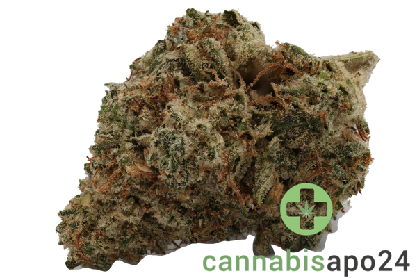 420 Natural 22/1 CA GG4