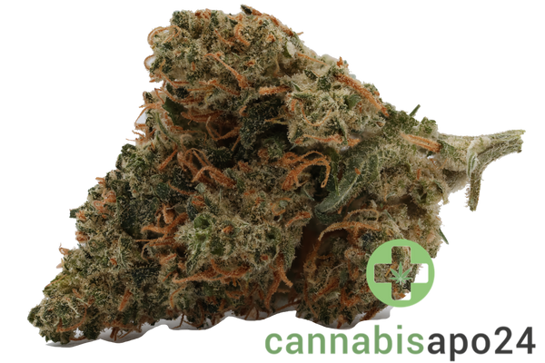 420 Natural 25/1 CA SRK