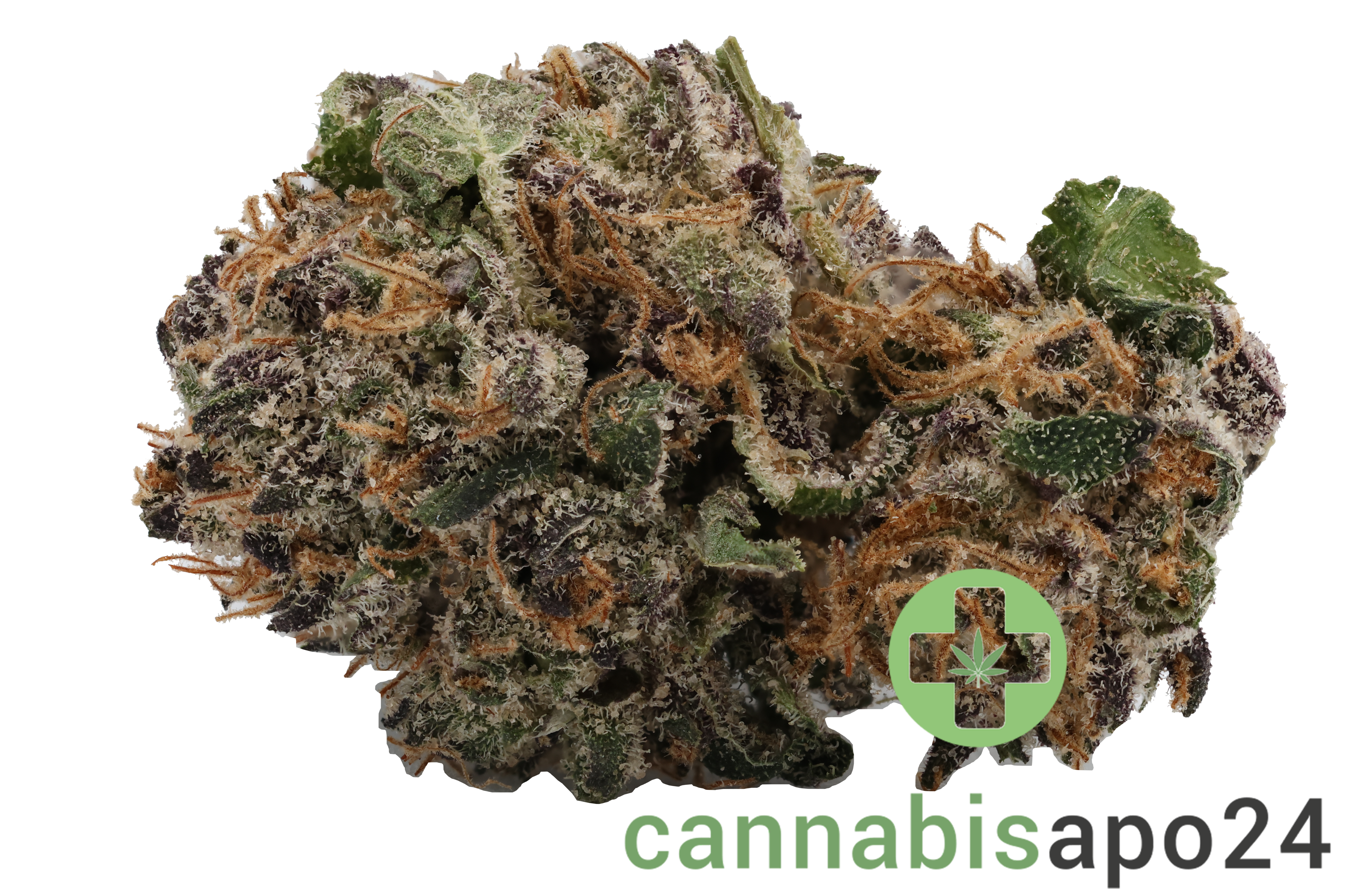 420 Natural 20/1 CA DBB