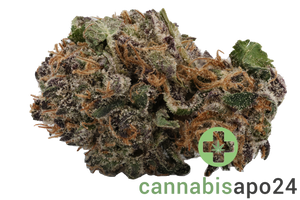 420 Natural 20/1 CA DBB