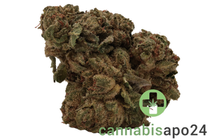 420 Sungrown 25/1 CA LLY Legendary Larry