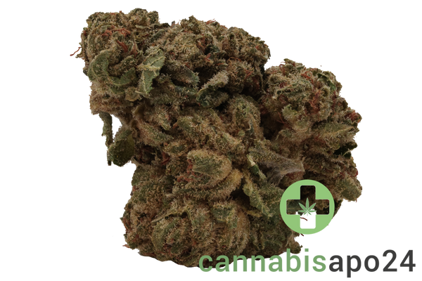 420 Sungrown 25/1 CA LLY Legendary Larry