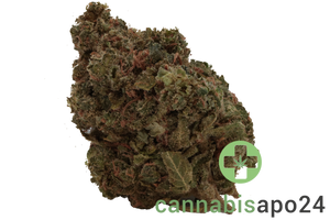 420 Sungrown 22/1 CA ZRP Zour Apple