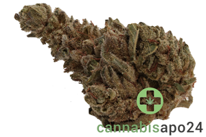 420 Sungrown 22/1 CA DOG Chemdog
