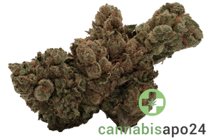 420 Sungrown 22/1 CA LLY
