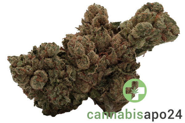 420 Sungrown 22/1 CA LLY
