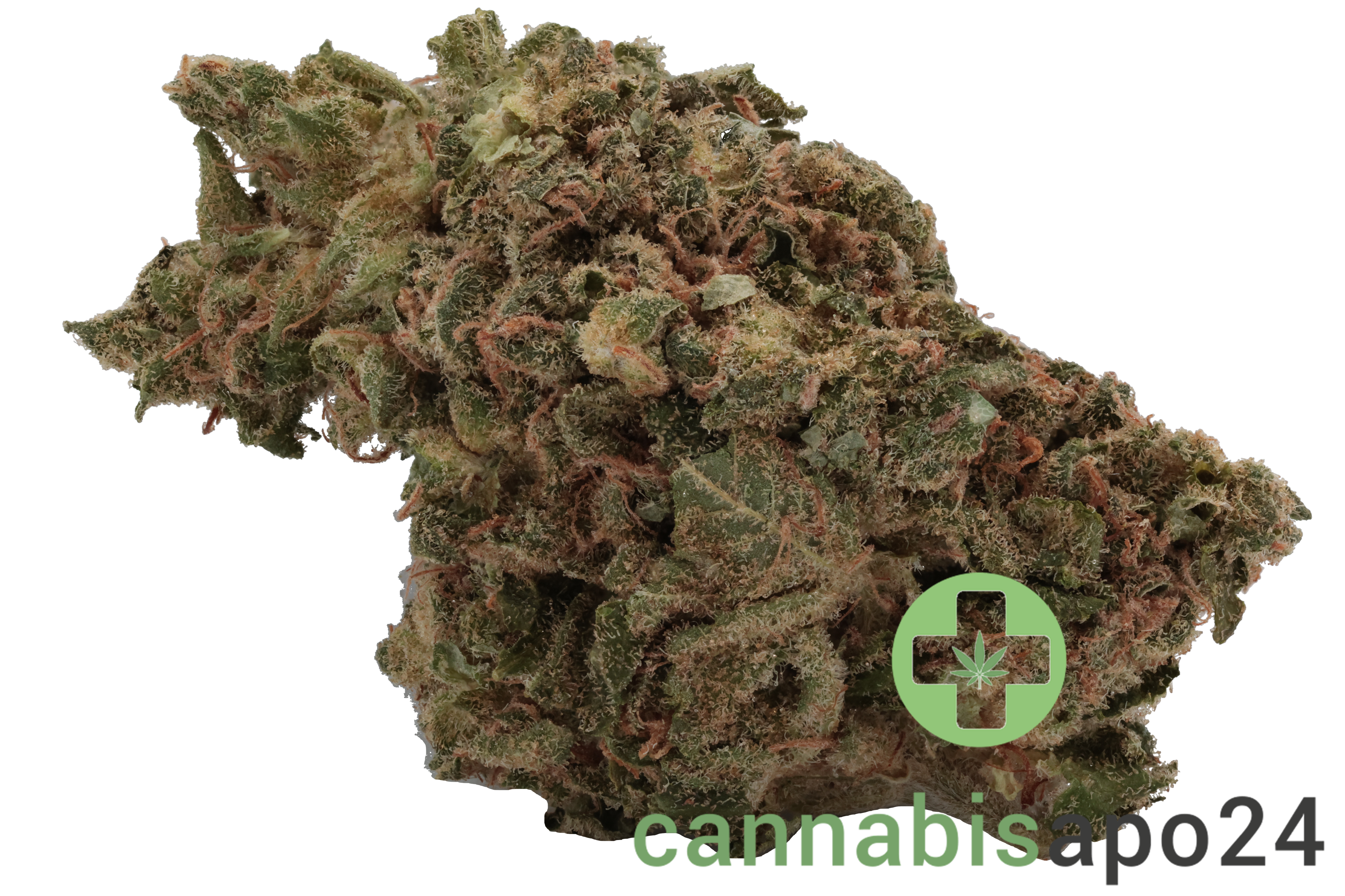 420 Sungrown 25/1 CA ZRP Zour Apple