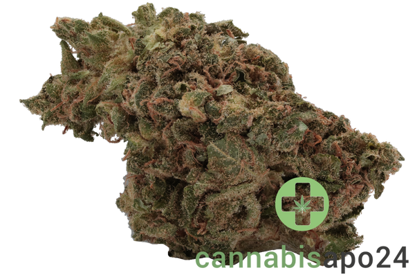 420 Sungrown 25/1 CA ZRP Zour Apple