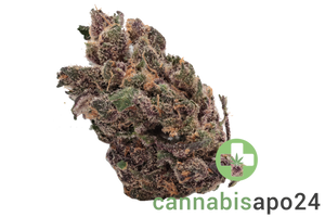 420 Natural 15/1 CA TRP - Tropicana Cookies