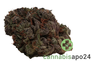 420 Compound 30/1 CA BBW Bling Blaow