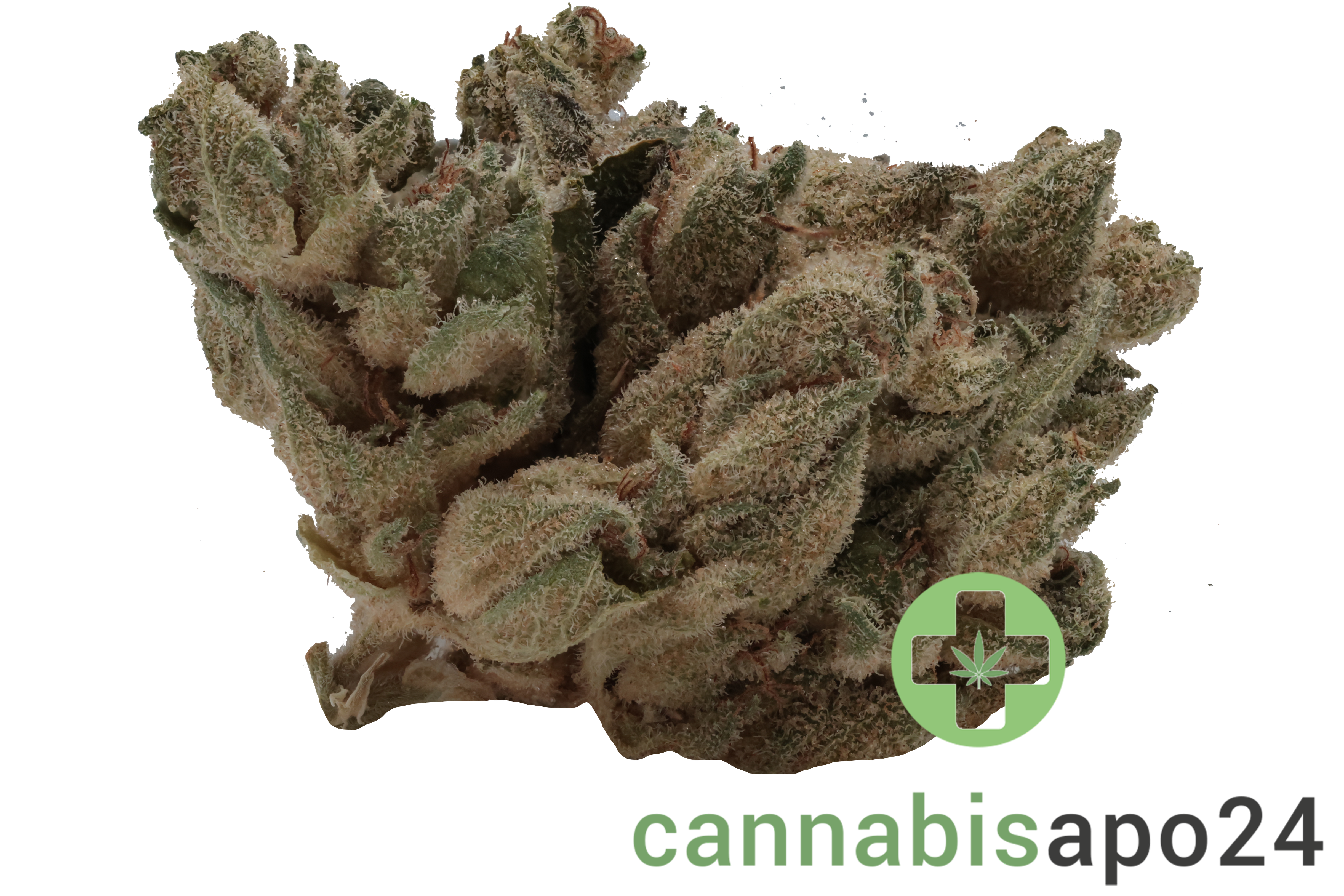 420 Evolution 20/1 CA PVB Private Banana