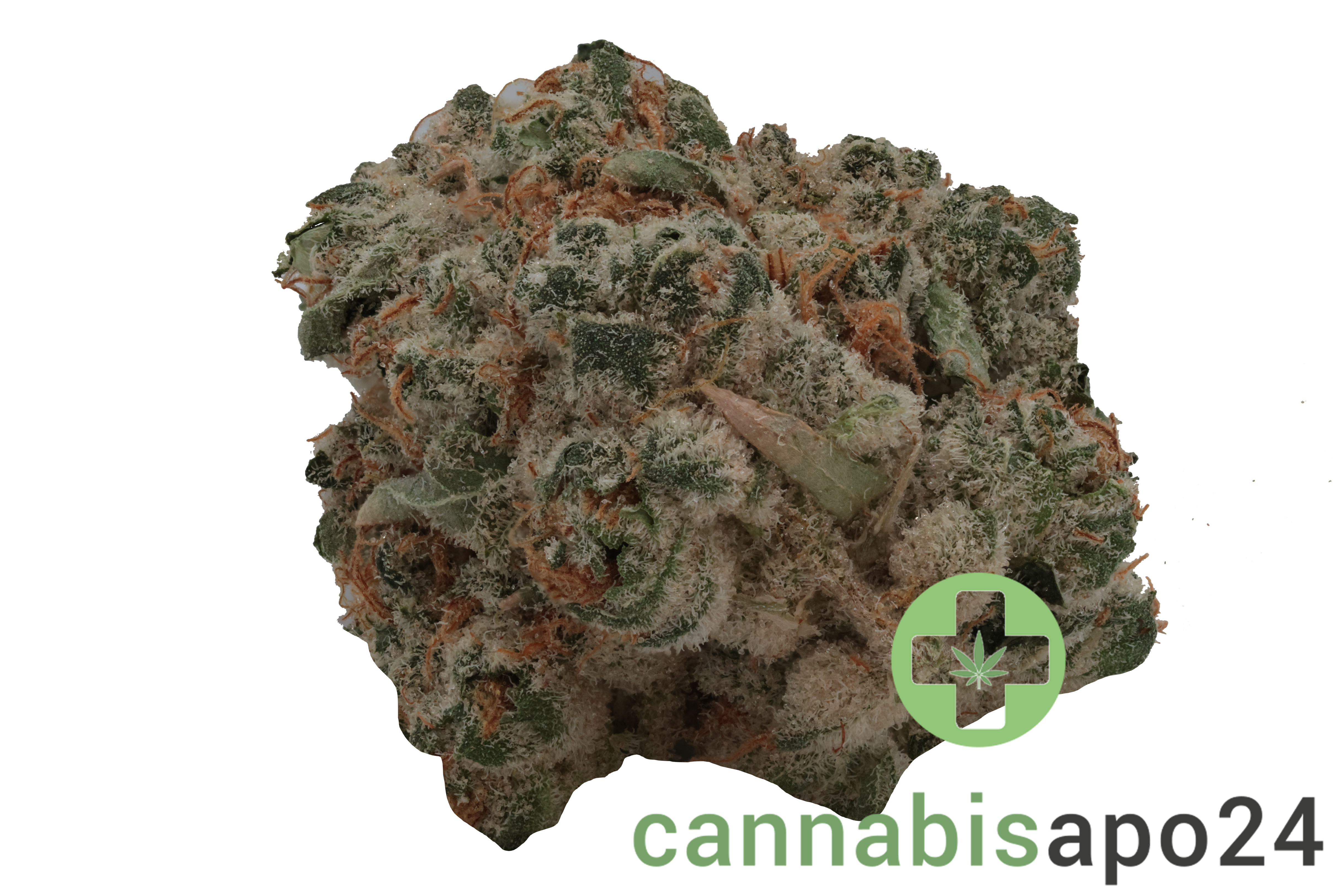 420 Evolution 25/1 CA PCH Peach Chementine